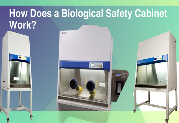 Biosafety Cabinet manufacturer by Imset