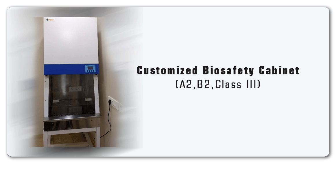 Customized Biosafety Cabinet(A2 B2 Class III) Manufacture by Imset