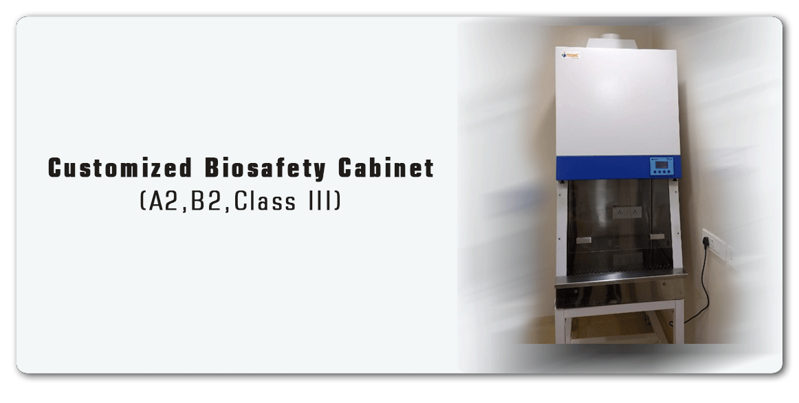 Customized Biosafety Cabinet(A2 B2 Class III) Manufacture by Imset